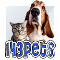 143Pets - Cute pets