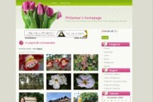Philamae Blog Philamae Blog